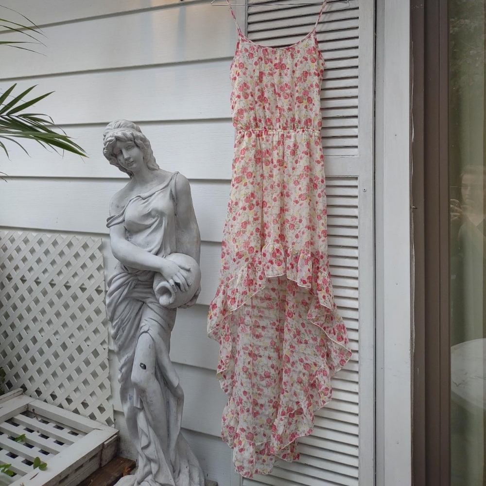 Extreme High Low Chiffon sun dress ruffle hem floral rose sheer see through